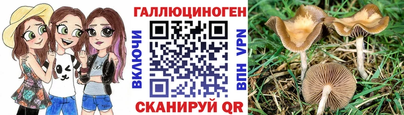 Псилоцибиновые грибы мицелий  Купить закладки  Славянск-на-Кубани 